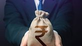 NRIs: Will your mutual fund investments rise after India Budget 2024-25?