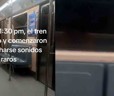 Usuario del Metro capta figura espectral en un vagón ¿Qué es?