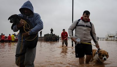 Las inundaciones en Brasil dejan un rastro de devastación: “Años de trabajo perdidos en pocas horas”
