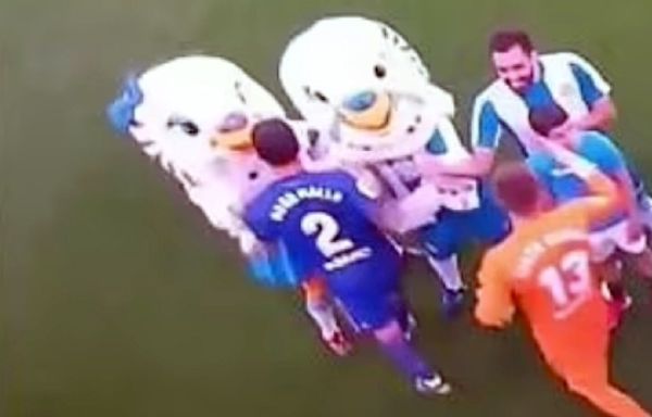 Spanish footballer guilty of groping breasts of female mascot inside parakeet costume