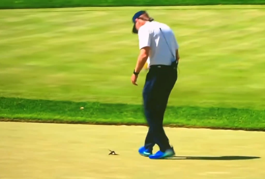 VIDEO: Bird appears to be killed by golf ball at U.S Women’s Open