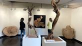 La Fundación Ibercaja en Huesca inaugura la muestra “¿Árbol grande, árbol viejo?”