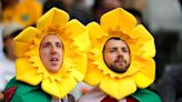 St David's Day: Wales celebrates its patron saint in annual celebrations
