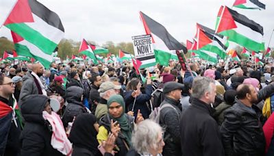 Two people arrested as thousands gathered for the pro-Palestine march in central London