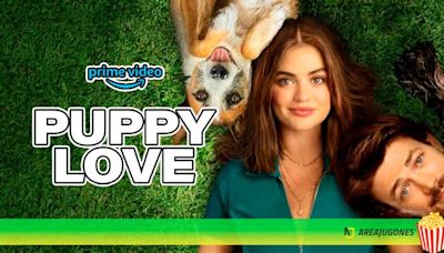 Será cursi y tópica, pero si te gustan los perros, ver Puppy Love en Amazon Prime Video es imprescindible