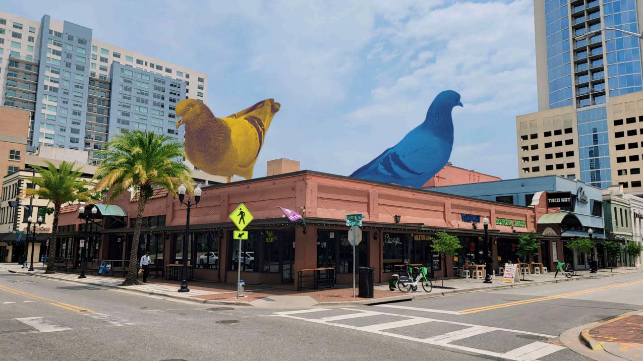 Massive pigeons to descend on downtown Orlando