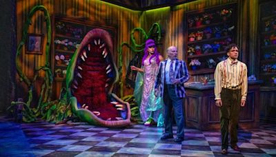 PCPA’s Little Shop of Horrors is big, bold, and bloody brilliant