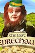 The Last Leprechaun