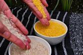 Golden rice