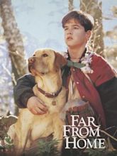 Far from Home: The Adventures of Yellow Dog