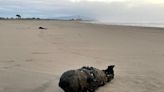 Bomb washes up on California beach