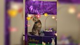 Cat from Gray named semi-finalist in 2024 Cadbury Bunny Tryouts