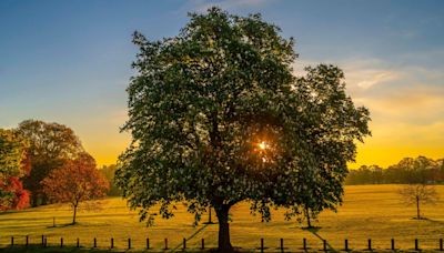 Maps show where in the UK will be warmest on May bank holiday weekend