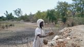 Sécheresse sévère au Zimbabwe: pas de récolte, rien à manger