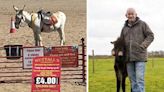 Outrage at seaside town as donkey-ride owner demands kids are weighed