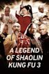 a legend of shaolin kung fu 3