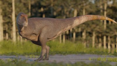 Descubrieron una nueva especie de dinosaurio carnívoro en la Patagonia