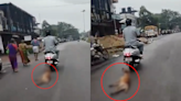 Video: Man Ties Dog To Scooter, Drags It For Over A km In Karnataka’s Udupi