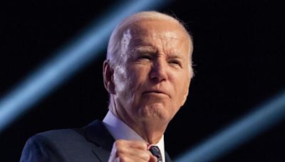 Michigan en la mira de Biden, crucial para su reelección en EEUU - Noticias Prensa Latina