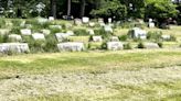 Crews working overtime to mow Woodlawn Cemetery by Memorial Day