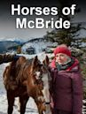 Horses of McBride