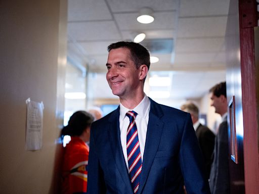 Trump likes that Tom Cotton went to Harvard, making him a "top contender" to be his running mate