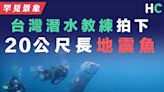 【罕見景象】台灣潛水教練拍下20公尺長「地震魚」 外媒：與末日預兆共舞