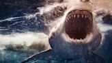 No, NASA Doesn't Have a Live Megalodon Hidden in the Atlantic Ocean