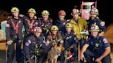 California Firefighters Rescue Blind Dog from Construction Site After Pet Falls into Deep Hole