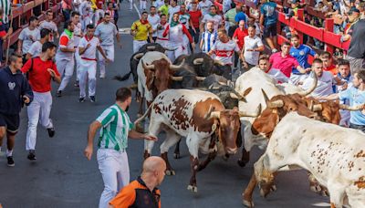 El octavo encierro de San Sebastián de los Reyes concluye con una carrera tranquila y cinco incidencias leves