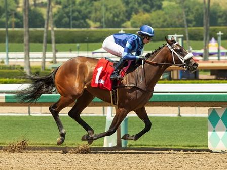 Spun to Run's First Winner Shines in Night Beacon