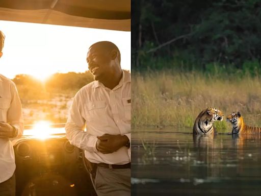 Exclusive: This 28-Year-Old Wildlife Photographer Supports Conservation Efforts While Curating Luxury Wildlife Experiences