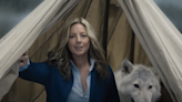 Sarah McLachlan spoofs her animal cruelty prevention commercials in new Super Bowl ad