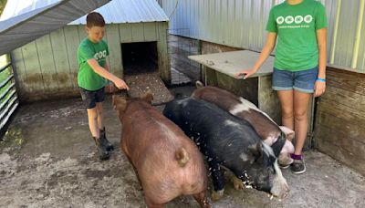 All in the family: Second-generation 4-H kids ready for Cass County Fair