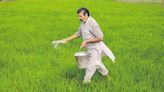 Govt of India issued nearly ₹37,000 crore in fertiliser subsidies as of July 22, 2024 | Mint
