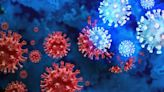 Massachusetts COVID-19 infections soar after holidays