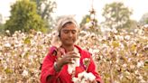 In data: Better Cotton launches fund to drive India climate resilience, equality
