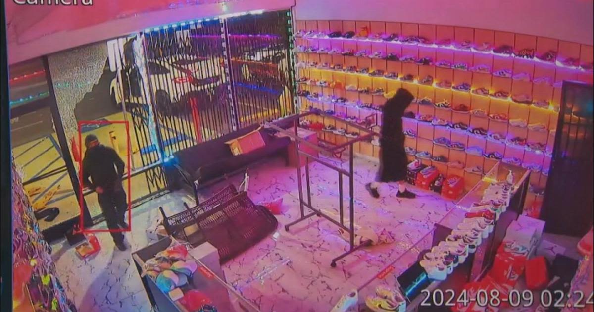 Burglars steal over $80,000 worth of merchandise from South LA shoe store