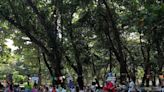 Parque Adahil Barreto terá evento sobre crise climática neste sábado, 9