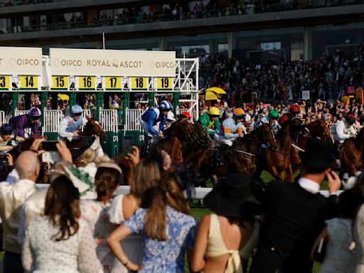 'Boy' from Brazil ready to take on establishment at Royal Ascot