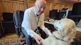 Parliamentary pup Jennie loves a ‘good lie down’ in the Commons chamber