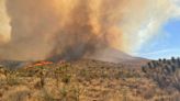 Massive Wildfire Threatens to Destroy Nevada’s Largest Joshua Tree