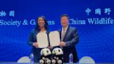 San Francisco mayor announces the city will receive pandas from China