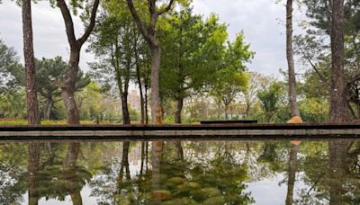 舊營區大改造，都市中的生態綠洲～桃園大湳森林公園