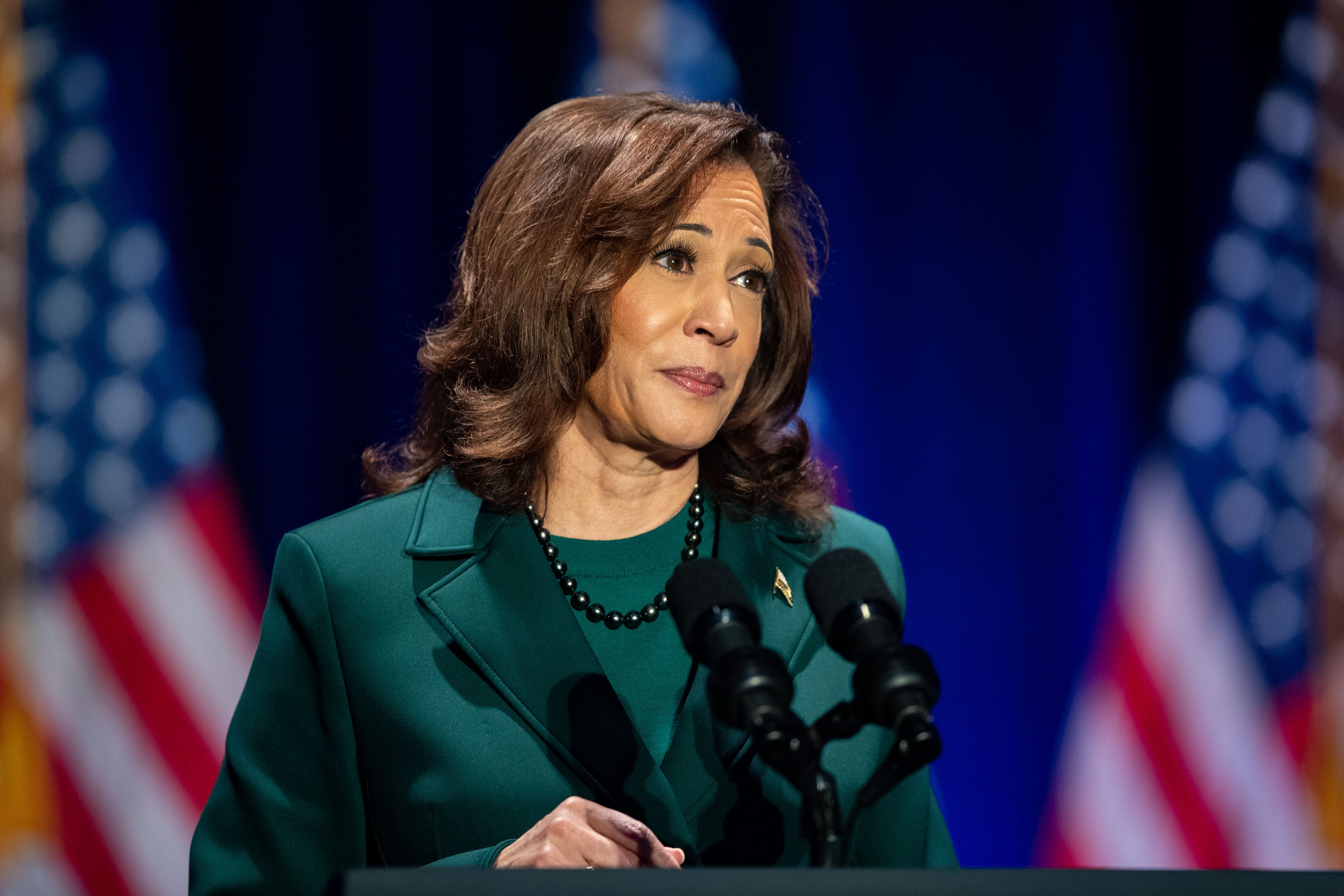 Kamala Harris campaign deployed 1,400 Florida volunteers during 'Weekend of Action'