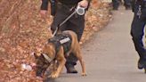 Target 11 Investigates: Pittsburgh police K9 movements to minority communities drawing criticism