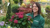 Lanarkshire garden centre announce series of Grow How sessions