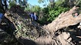 Cinco muertos en Córcega por las tormentas con vientos huracanados