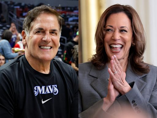 Mark Cuban and other business titans are trying to woo conservative-leaning swing voters to support Kamala Harris