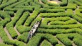 Davis Mega Maze set to celebrate its 25th season: Larry Davis tells his story